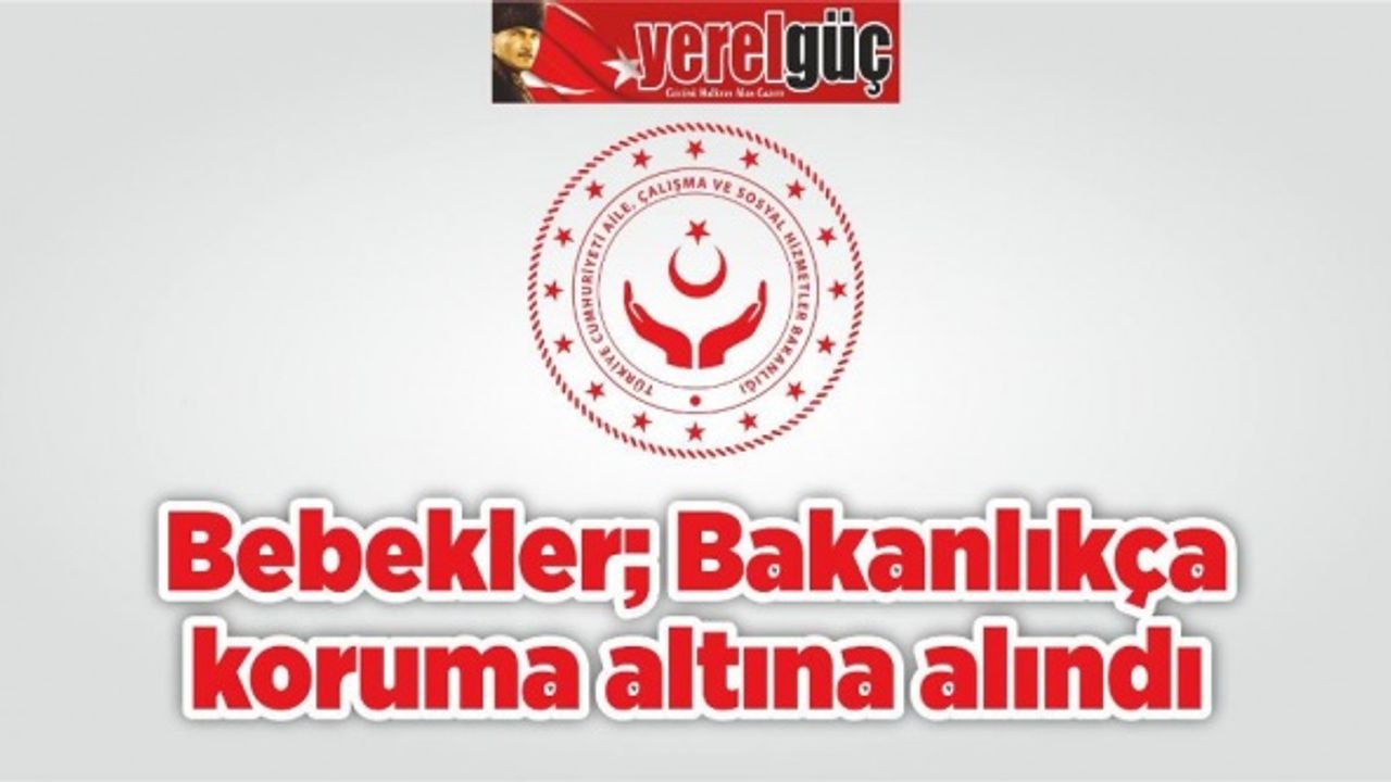 Bebekler, bakanlıkça koruma altına alındı