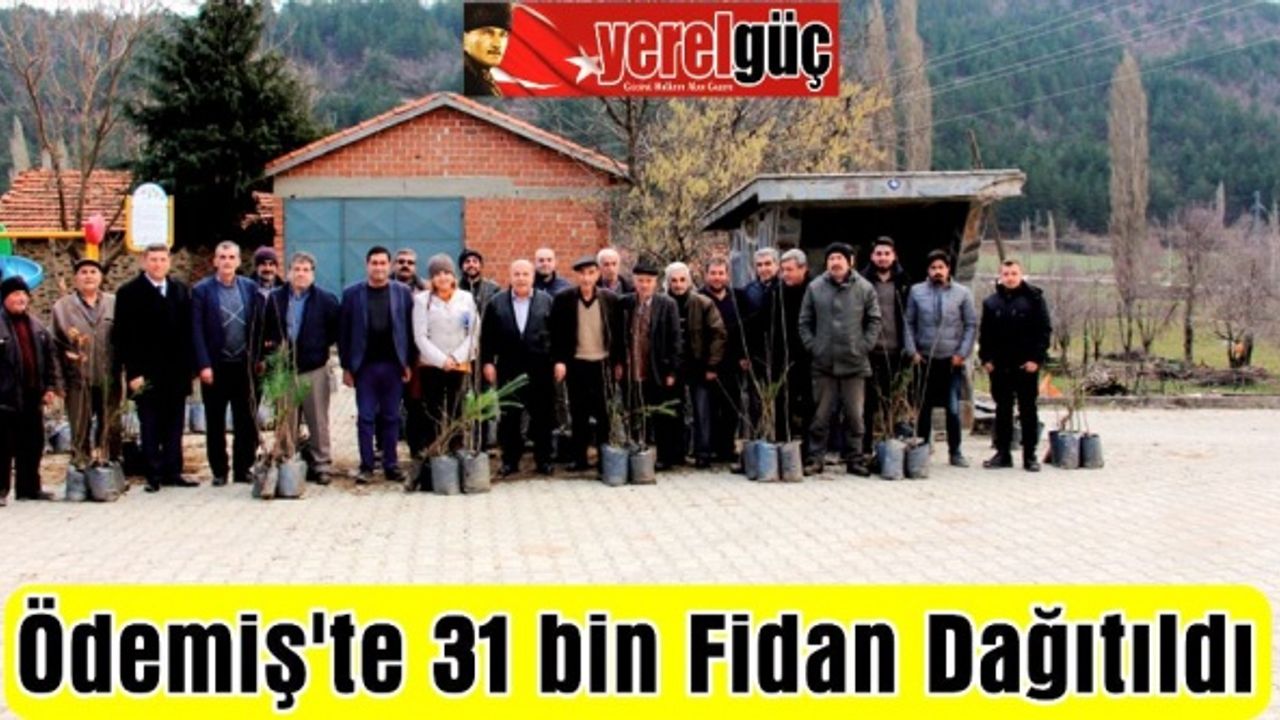 Ödemiş'te 31 bin Fidan Dağıtıldı