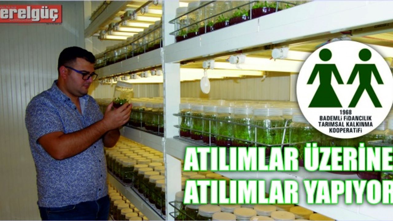 BADEMLİ FİDANCILIK KALKINMA KOOPERATİFİ ATILIMLAR ÜZERİNE ATILIMLAR YAPIYOR