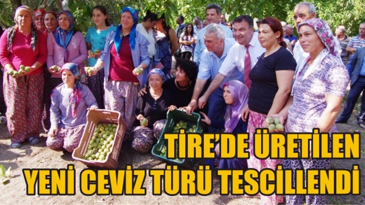 BADEMLİ KOOPERATİFİ, 'POTAMİA ERDİN'ADLI YENİ BİR CEVİZ TÜRÜNÜ TANITTI