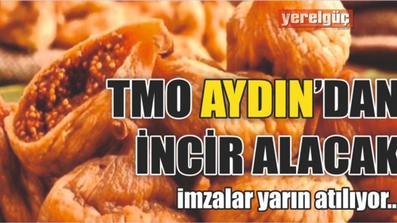 İncir için Aydın'da imzalar atılıyor