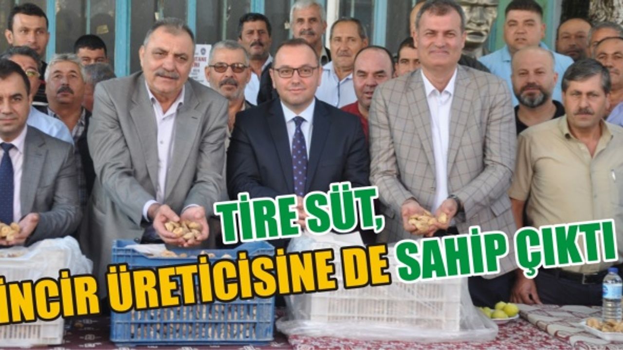 TİRE SÜT, İNCİR ÜRETİCİSİNE DE SAHİP ÇIKTI
