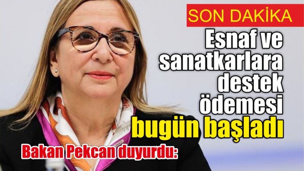 Bakan Pekcan duyurdu: Esnaf ve sanatkarlara destek ödemesi bugün başladı