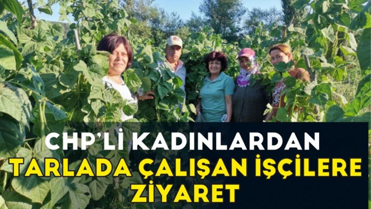 Chp’li Kadınlardan Tarlada Çalışan İşçileri Ziyaret
