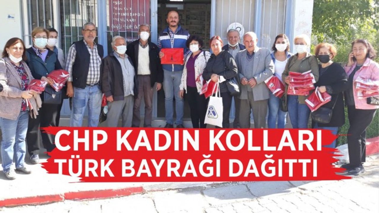 CHP Kadın Kolları Türk Bayrağı dağıttı