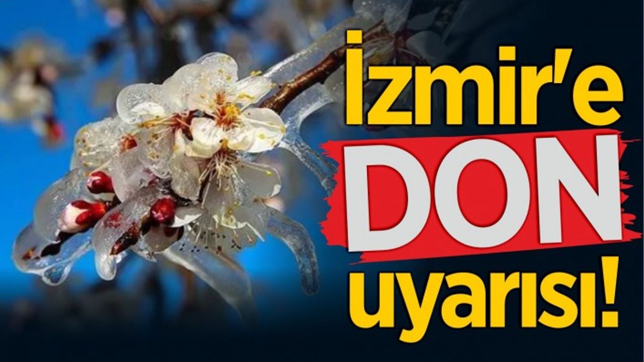 1 Şubat tarihine kadar zirai don olayı beklendiği uyarısı yapıldı
