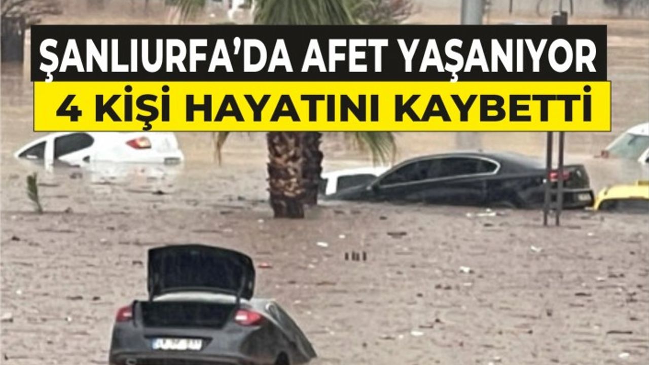 Şanlıurfa'da kent merkezindeki alt geçitte can pazarı!