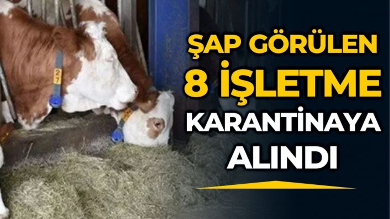 Tarım Bakanlığı'ndan şap hastalığına karşı önlem!