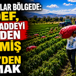 Fabrikalar Bölgede, Hedef Hammaddeyi Yeniden Ödemiş ve Tire’den Almak