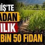 Ödemiş’te İcradan satılık 297 Bin 50 Fidan