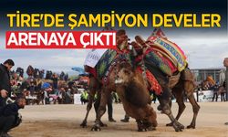 22. Geleneksel Deve Güreşi Festivali coşku içinde geçti