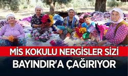 Bayındır-Turan Mahallesi Nergis ve Kuru Çiçek Festivali 2. Yılında