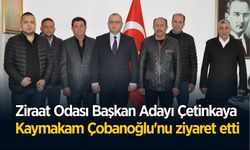 Çetinkaya ziyarette, Çobanoğlu'na projelerini anlattı
