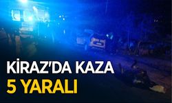 Yola çıkan inek araca çarptı 5 kişi yaralandı