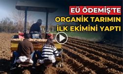 EGE ÜNİVERSİTESİ ORGANİK PATATES EKİMİ YAPTI