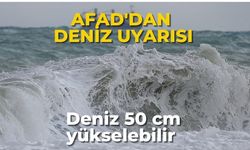 Hatay'daki depremler sonrası AFAD'dan kritik uyarı: Sahil şeridinden uzak duralım