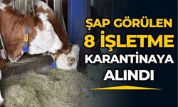Tarım Bakanlığı'ndan şap hastalığına karşı önlem!