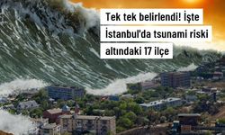 Tsunami tahliye yolu ve güvenli bölge tabelaları yerleştiriliyor. İşte o ilçeler...