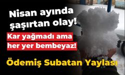 Ödemiş’te Nisan Ayında şaşırtan doğa olayı yaşandı.
