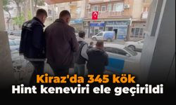 Kiraz'da 345 kök Hint keneviri ele geçirildi