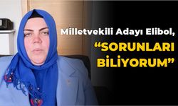 Milletvekili Adayı Elibol, “SORUNLARI BİLİYORUM”