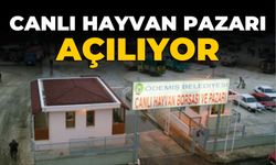 CANLI HAYVAN PAZARI AÇILIYOR