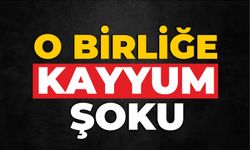 O Birliğe Kayyum Şoku