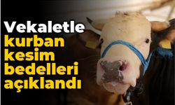 Vekaletle kurban kesim bedelleri açıklandı