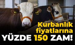 Kurbanlık fiyatlarına yüzde 150 zam!