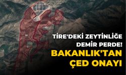 Tire’nin Hasançavuşlar Mahallesindeki zeytinlik alana GES kurulacak!