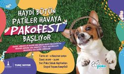 Pati dostları bu festivalde buluşacak