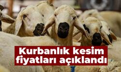 Kurbanlık kesim fiyatları açıklandı