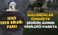 Parkta pes dedirten görüntüler: Şehir magandaları yine zarar verdi 