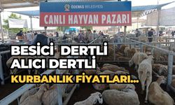 BESİCİ VE ALICI KURBANLIK FİYATLARINDAN DERTLİ