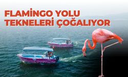Flamingo Yolu tekneleri çoğalıyor
