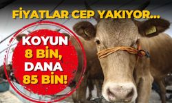 Kurban satış noktalarında hareketlilik zayıf