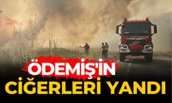 Ödemiş'in ciğerleri yandı