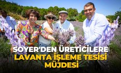 Soyer'den üreticilere lavanta işleme tesisi müjdesi