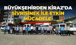 BÜYÜKŞEHİRDEN KİRAZ’DA SİVRİSİNEK İLE ETKİN MÜCADELE 