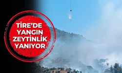 Tire’de yangın Zeytinlik yanıyor