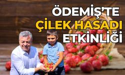 ÖDEMİŞ’TE ÇİLEK HASADI ETKİNLİĞİ