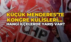 Küçük Menderes’te kongre kulisleri… Hangi ilçelerde yarış var?