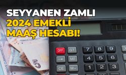 SEYYANEN ZAMLI 2024 EMEKLİ MAAŞ HESABI! 