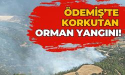 Ödemiş’te korkutan orman yangını!