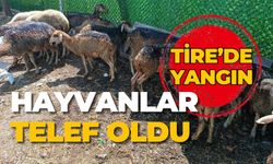 TİRE’DE YANGIN