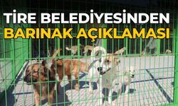 TİRE BELEDİYESİNDEN BARINAK AÇIKLAMASI