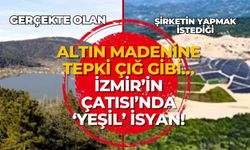 Altın madenine tepki çığ gibi… İzmir’in Çatısı’nda ‘yeşil’ isyan!