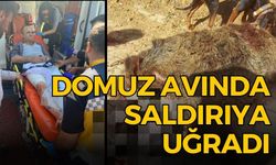 DOMUZ AVINDA SALDIRIYA UĞRADI