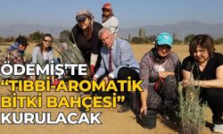 Ödemiş Belediyesi’nden “Tıbbi-Aromatik Bitki Bahçesi” hamlesi 