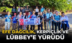 EFE DAĞCILIK, KERPİÇLİK VE LÜBBEY'E YÜRÜDÜ